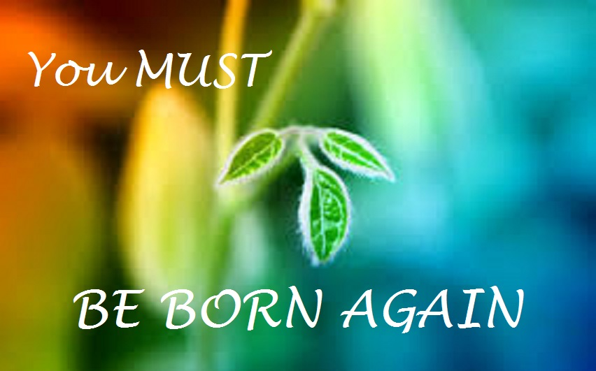 What does it mean to be a born again Christian?