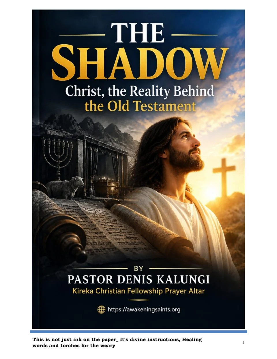 Cover of SHADOW AND COVER